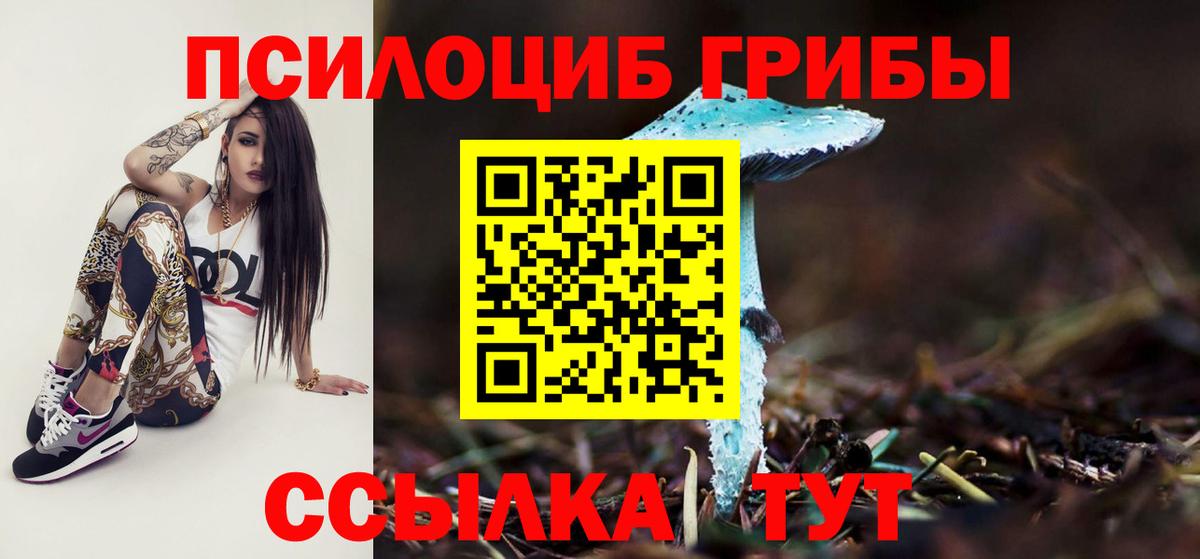Галлюциногенные грибы прущие грибы  Вход с VPN  Бузулук  Псилоцибиновые грибы Cubensis 